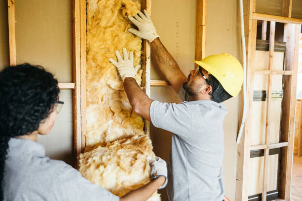 Best Commercial Insulation Services  in Killeen, TX